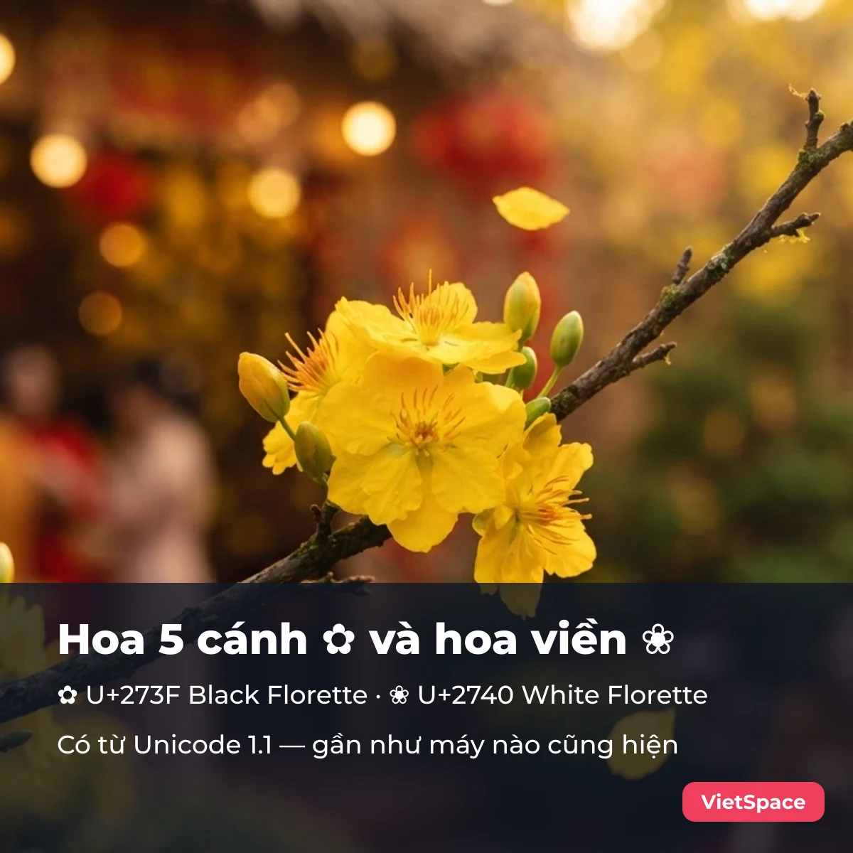 Kí tự hoa 5 cánh ✿ U+273F Black Florette và hoa viền ❀ U+2740 White Florette
